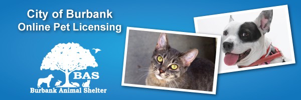 client header client header