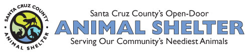 SNCR Logo